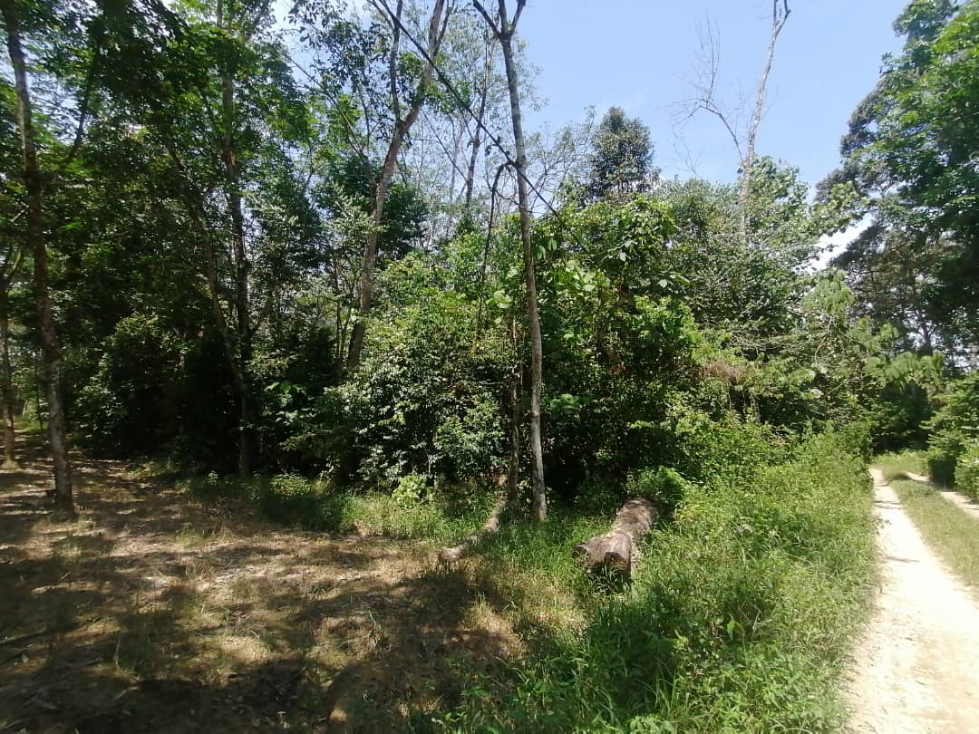 2 Acre Non Bumi Lot Agri land Batang Kali, Hulu - photo 5