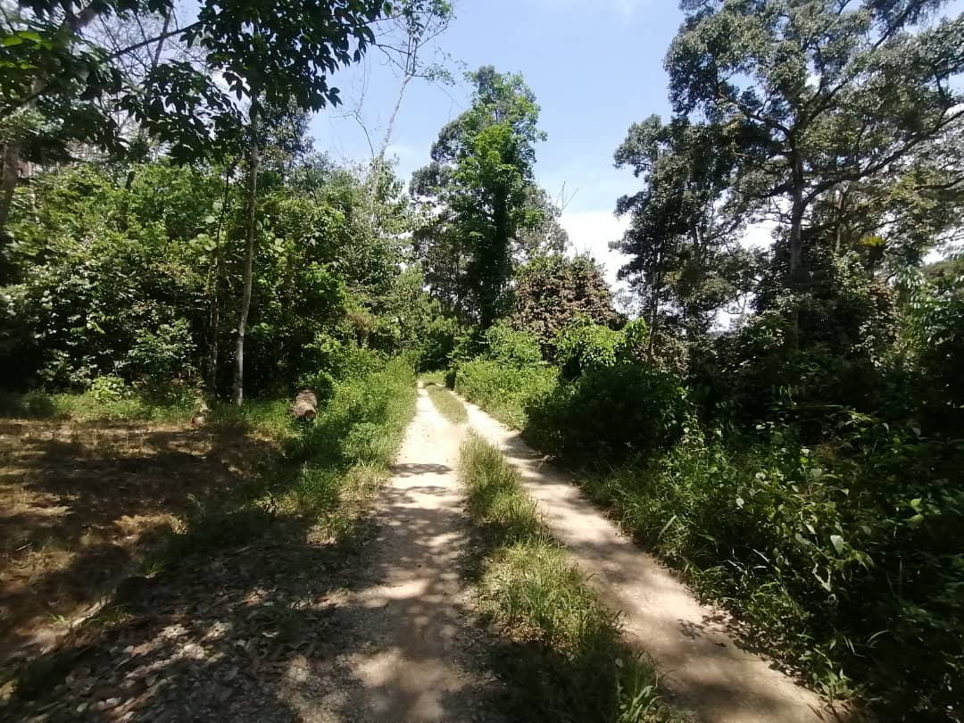 2 Acre Non Bumi Lot Agri land Batang Kali, Hulu - photo 6