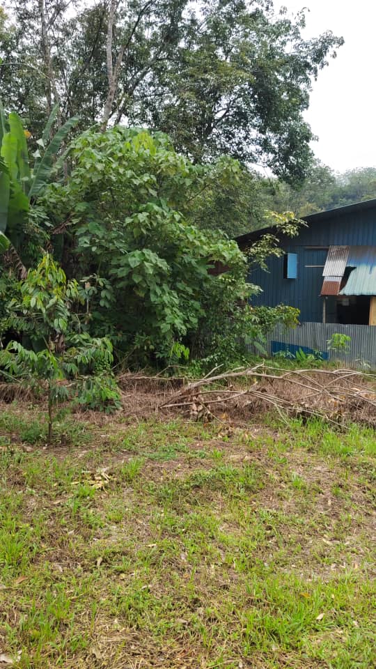 Non Bumi Freehold 3 Acre Agri Land Sungai Gumut, - photo 5