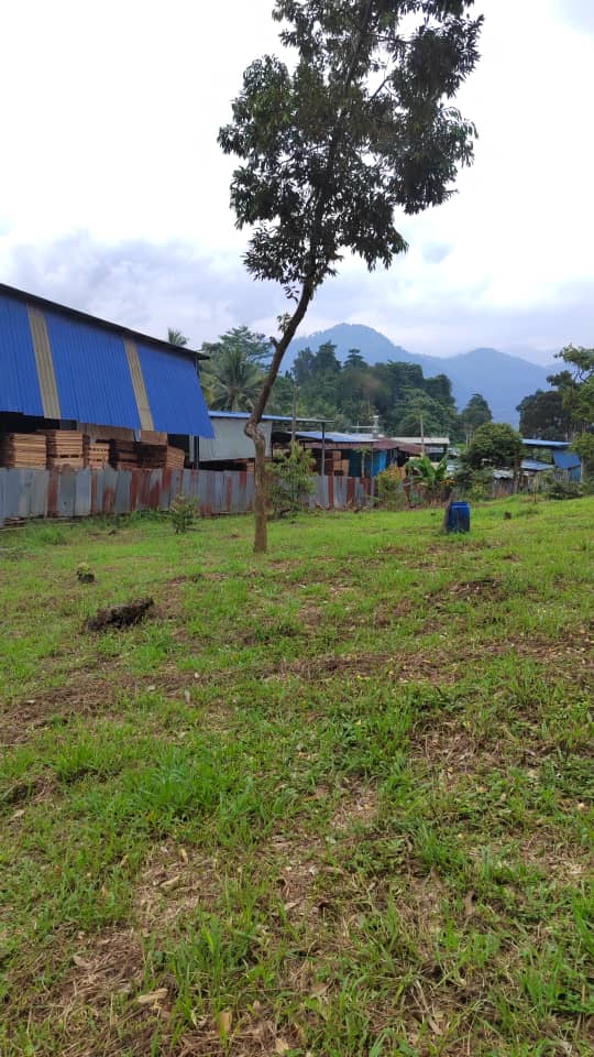 Non Bumi Freehold 3 Acre Agri Land Sungai Gumut, - photo 6
