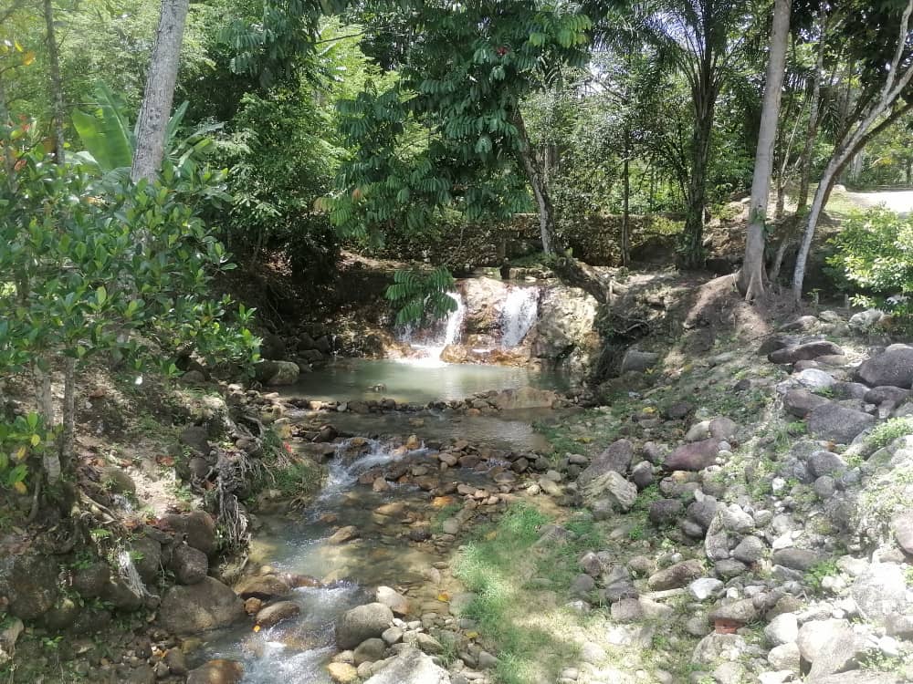 Dusun Durian 3 ac Freehold Non Bumi with River - photo 3