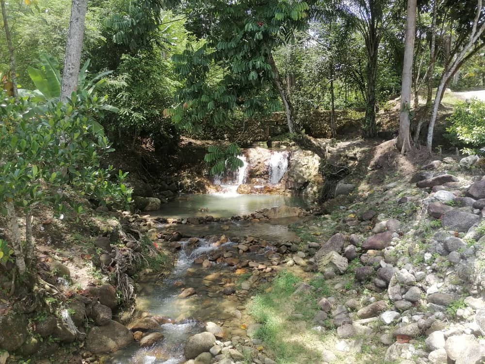 Dusun Durian 3 ac Freehold Non Bumi with River - photo 4