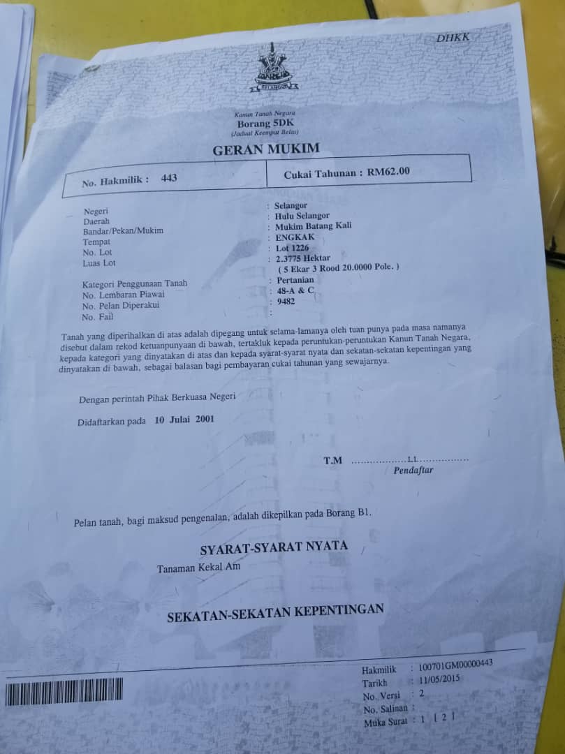 5 Ac Freehold Non Bumi Agri Land 170k Per Acre - photo 5