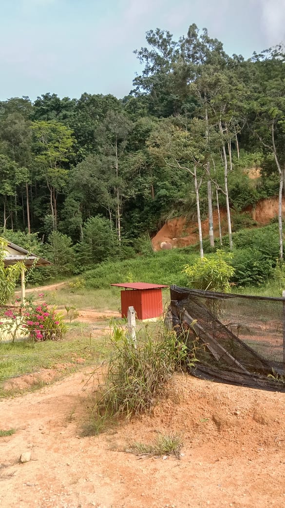 9 acre Taman Rening Jaya Ampang Pecah - photo 2