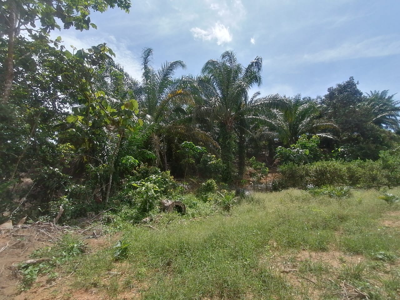 9 acre Taman Rening Jaya Ampang Pecah - photo 4