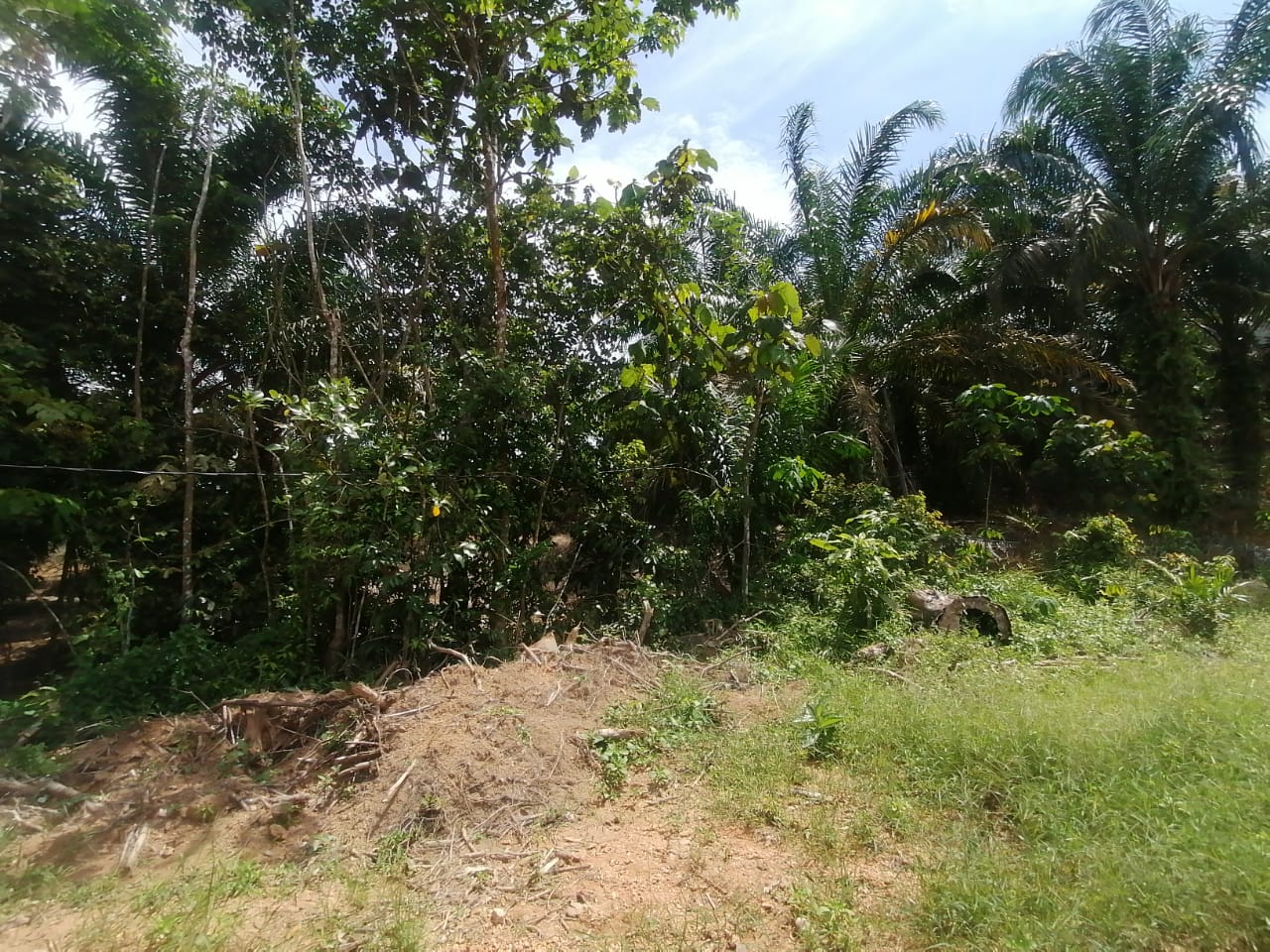 9 acre Taman Rening Jaya Ampang Pecah - photo 5