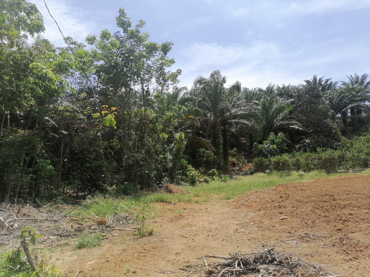 9 acre Taman Rening Jaya Ampang Pecah - photo 7