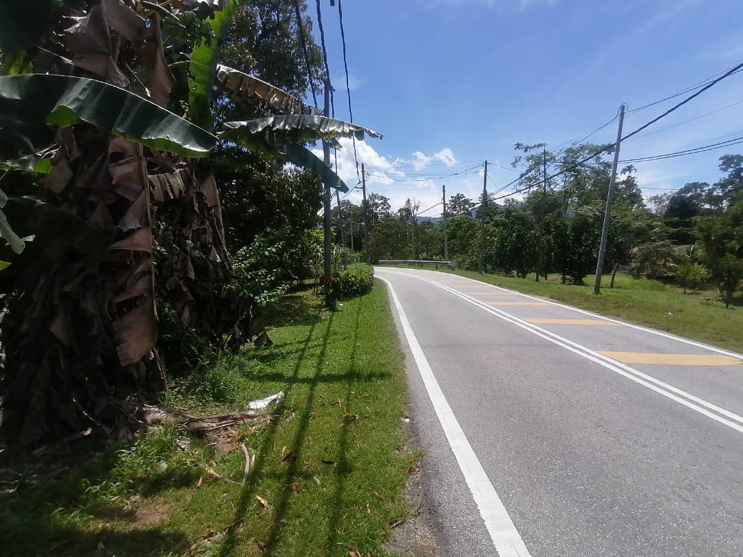 Road Frontage Freehold Non Bumi 6 acre Kg Kalong - photo 4