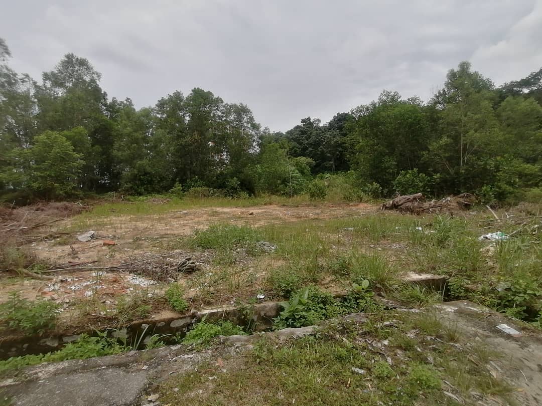 6 Acre Freehold Non Bumi Agriculture Land - photo 2