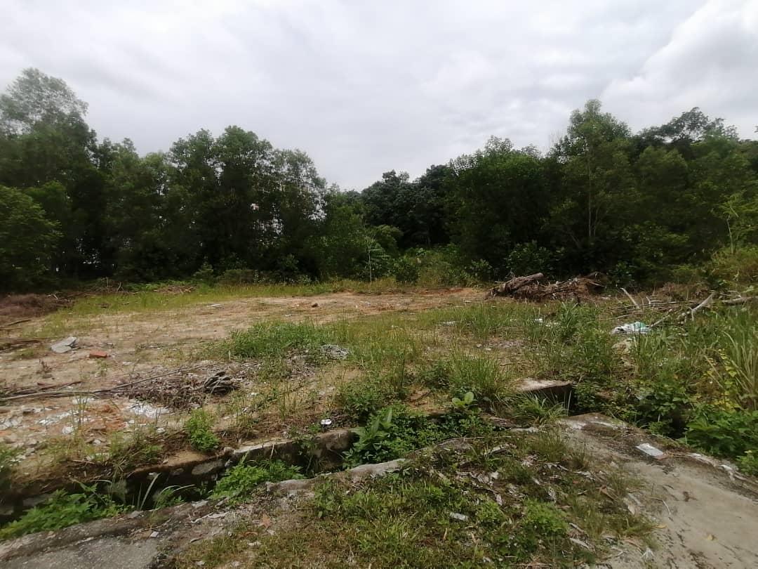 6 Acre Freehold Non Bumi Agriculture Land - photo 5