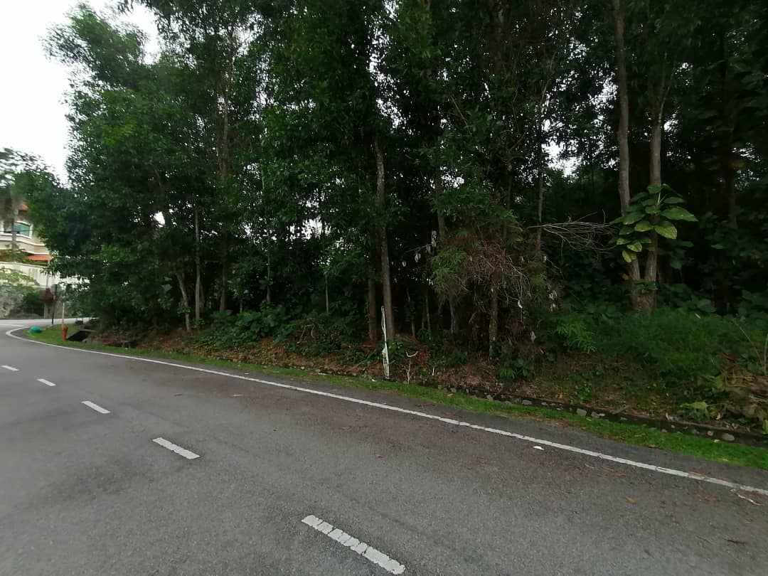 13034 sqft Bungalow Lot Freehold Putra Hills - photo 4