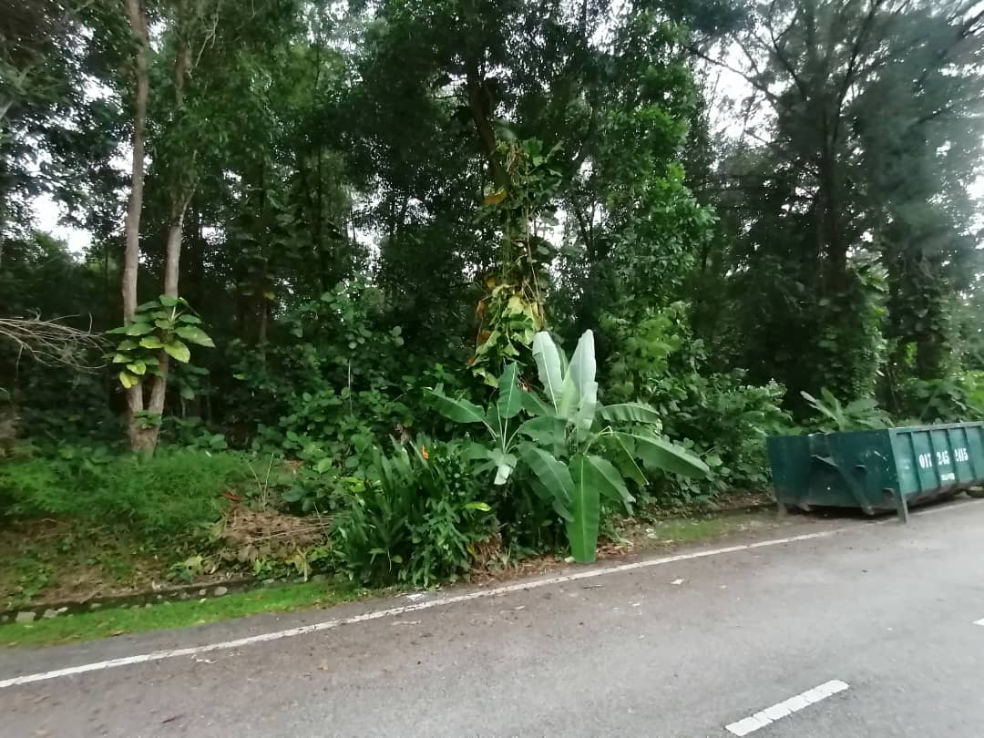 13034 sqft Bungalow Lot Freehold Putra Hills - photo 5