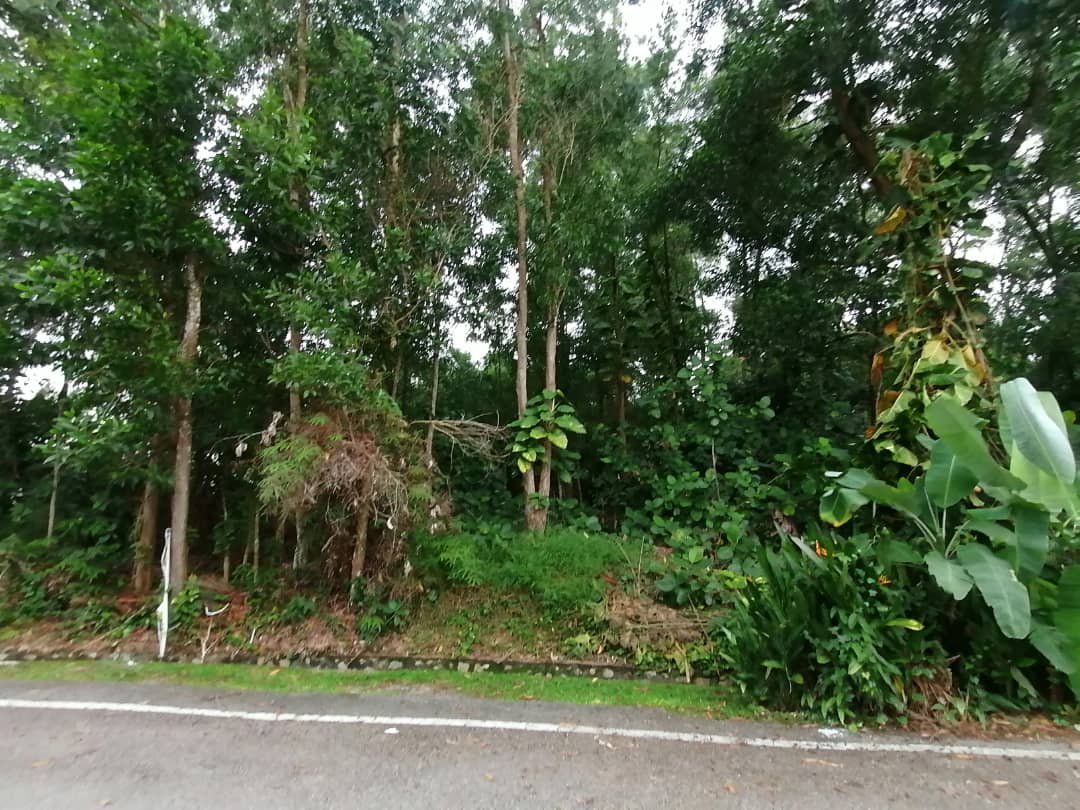 13034 sqft Bungalow Lot Freehold Putra Hills - photo 6