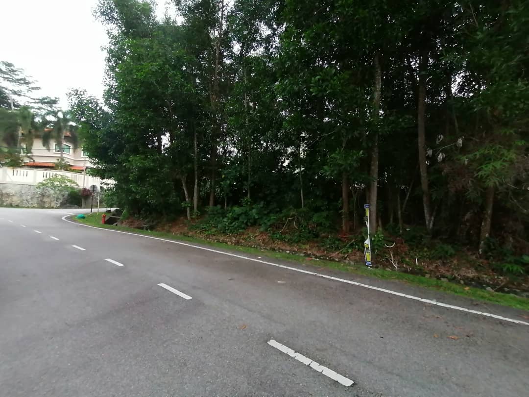13034 sqft Bungalow Lot Freehold Putra Hills - photo 9