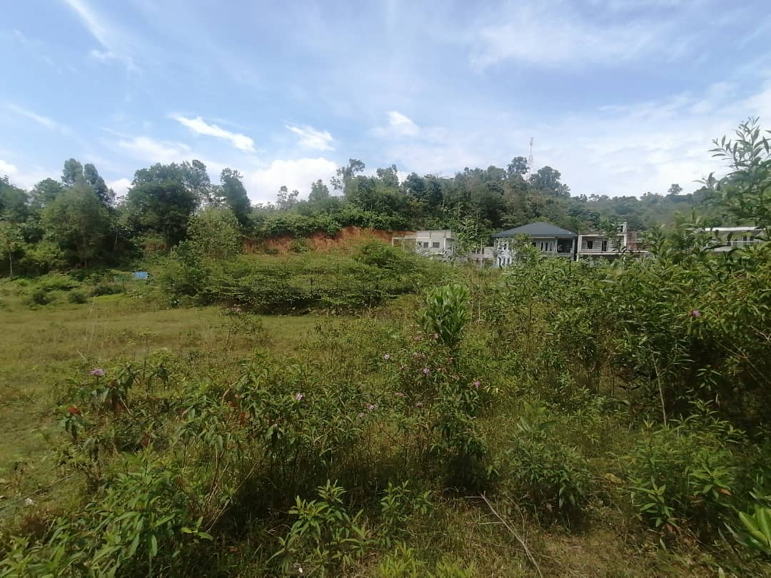 Bungalow Lot 9000 sqft Geran Kongsi Sungai Kertas - photo 2