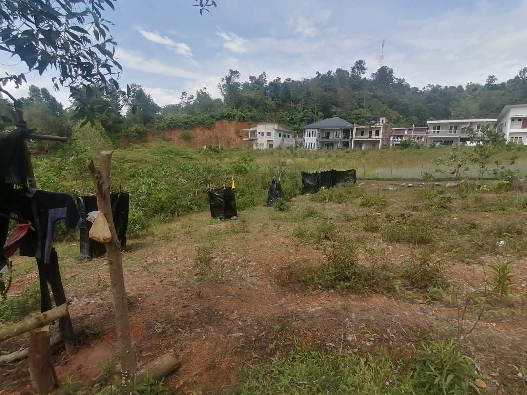 Bungalow Lot 9000 sqft Geran Kongsi Sungai Kertas - photo 6