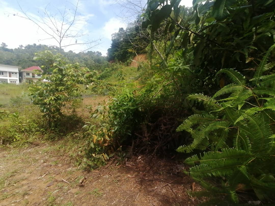 Bungalow Lot 9000 sqft Geran Kongsi Sungai Kertas - photo 7