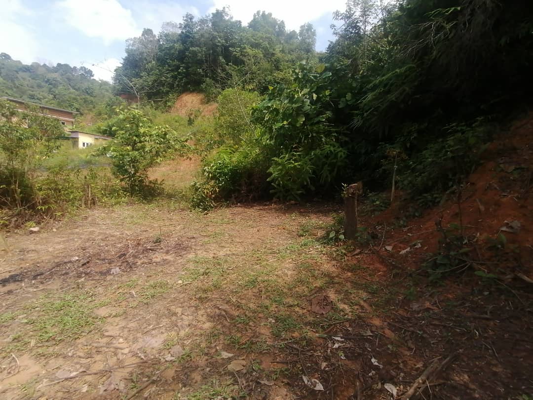 Bungalow Lot 9000 sqft Geran Kongsi Sungai Kertas - photo 12