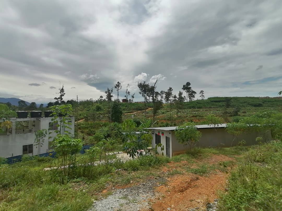 9 Acre Agri Land Freehold Non Bumi Kerling - photo 6