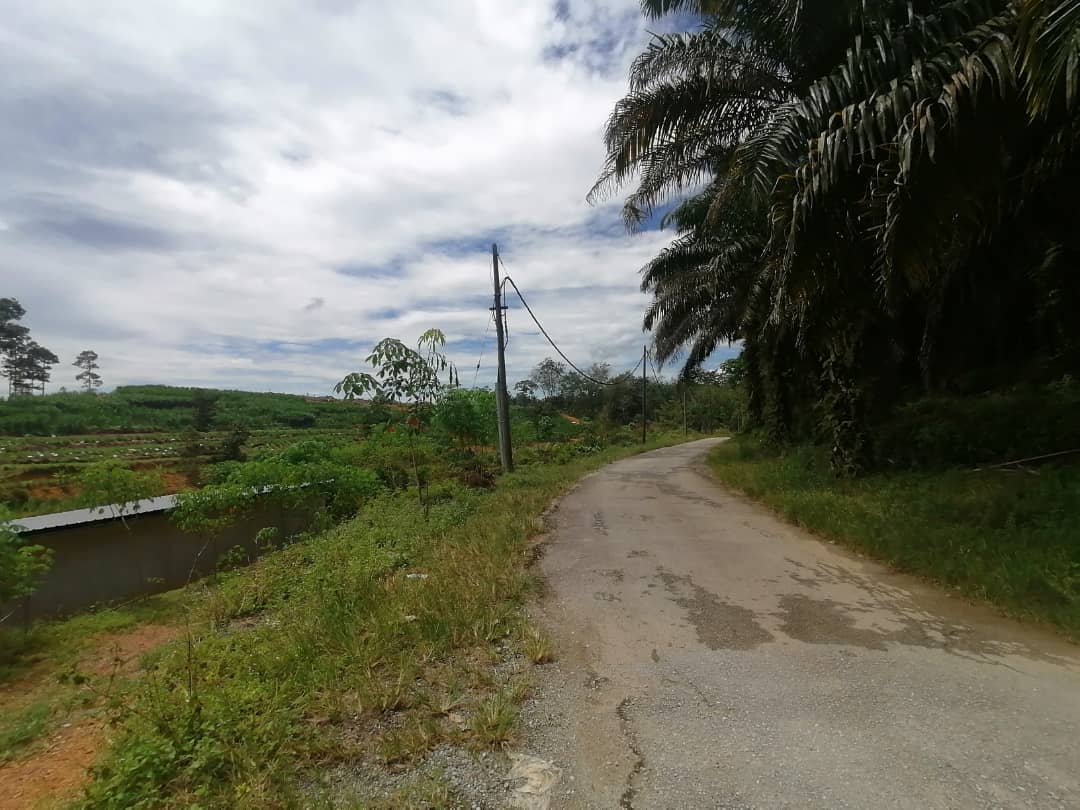9 Acre Agri Land Freehold Non Bumi Kerling - photo 7