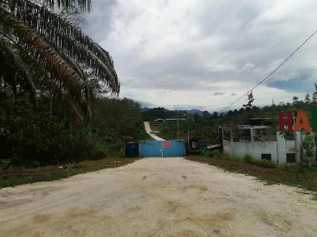 9 Acre Agri Land Freehold Non Bumi Kerling - photo 9