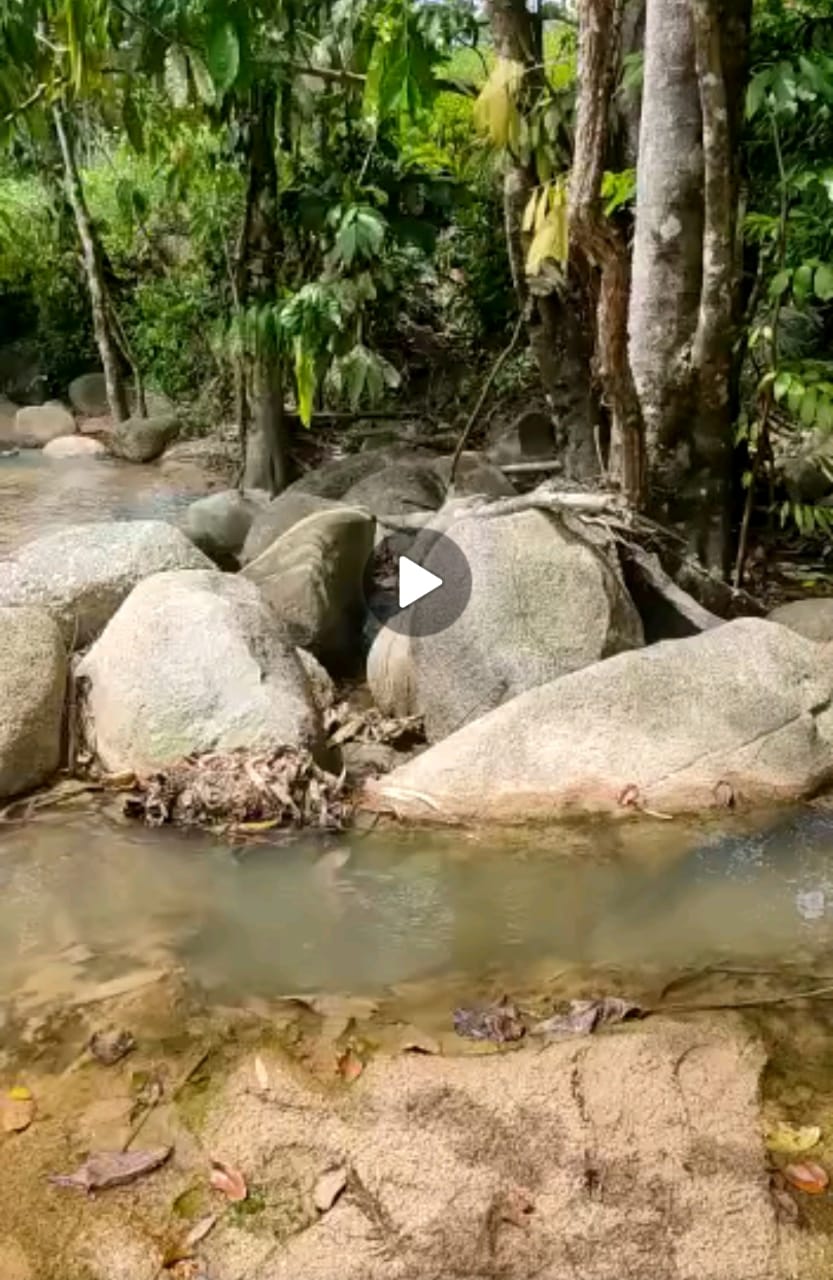 Slim River Halacara Baru Ulu Slim 4 ekar RezMelayu - photo 5