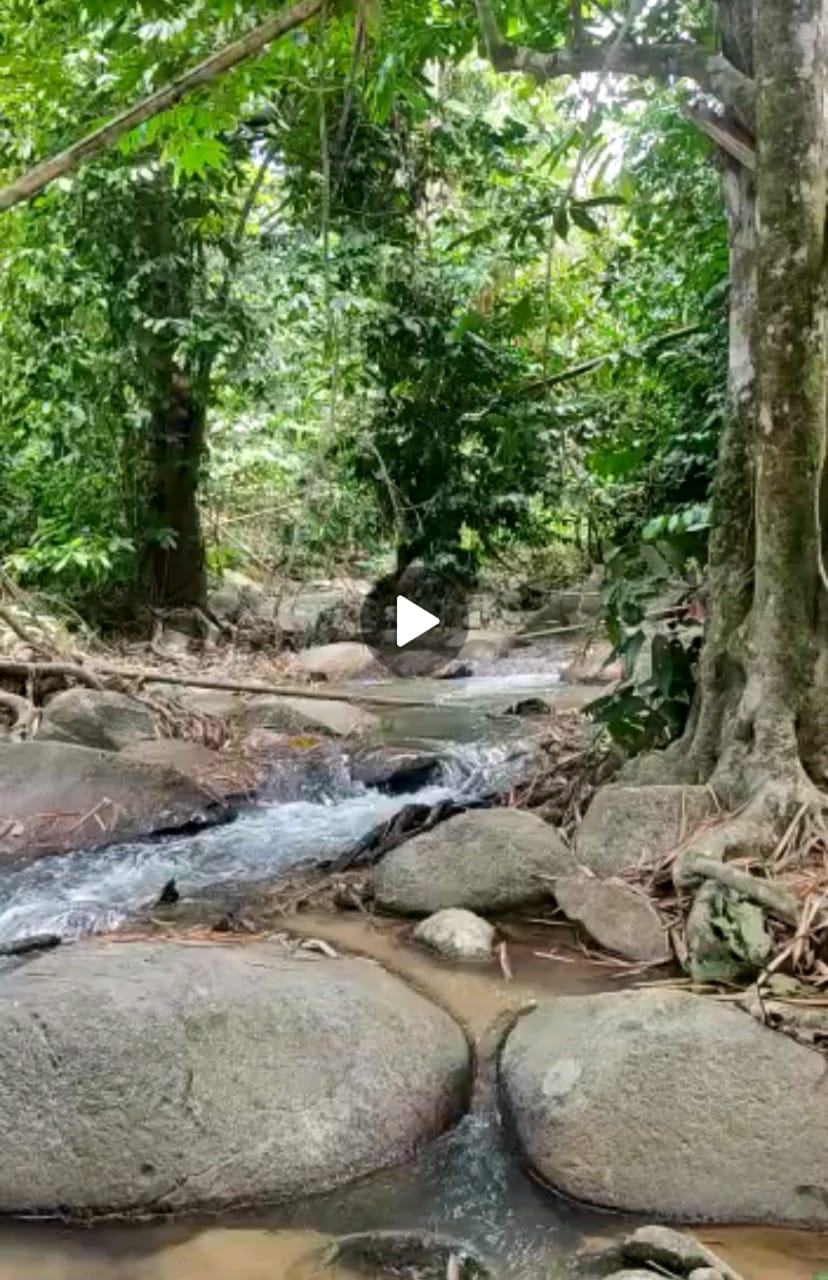 Slim River Halacara Baru Ulu Slim 4 ekar RezMelayu - photo 6