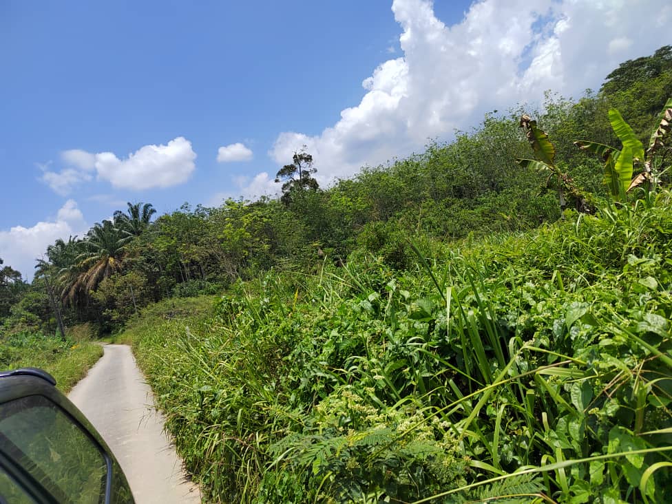 Sungai Serian, Kalumpang 5 Acre Agri Land Freehold - photo 2