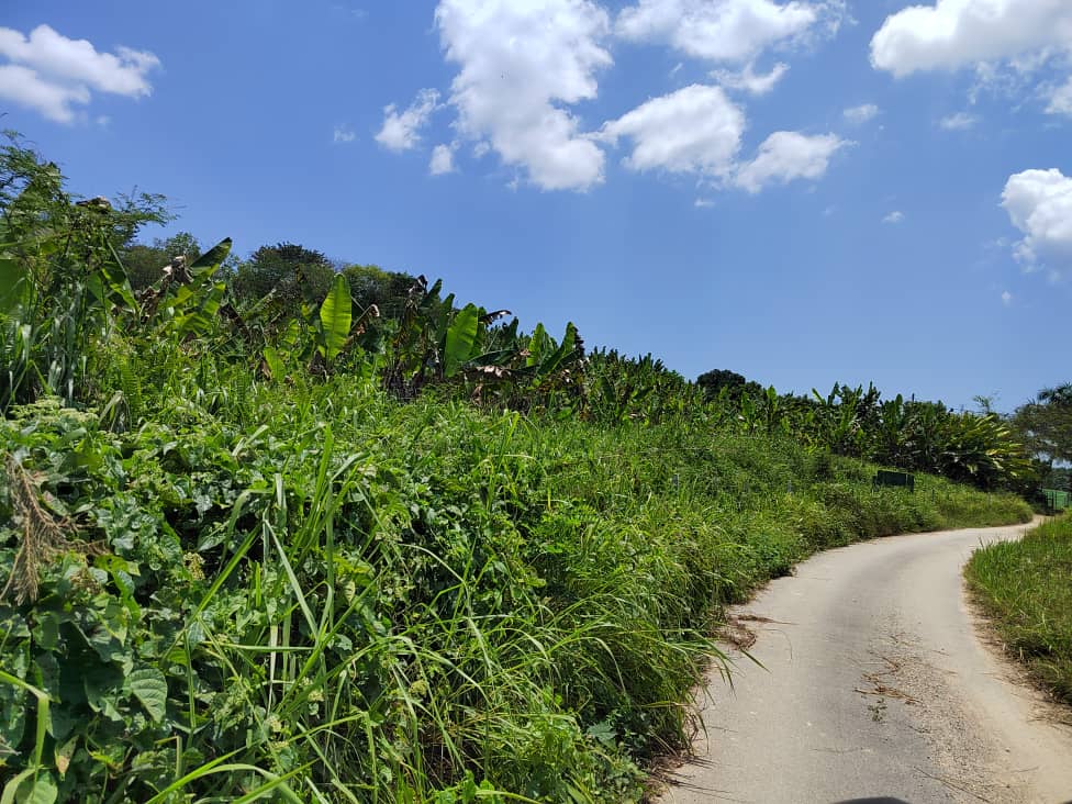 Sungai Serian, Kalumpang 5 Acre Agri Land Freehold - photo 3