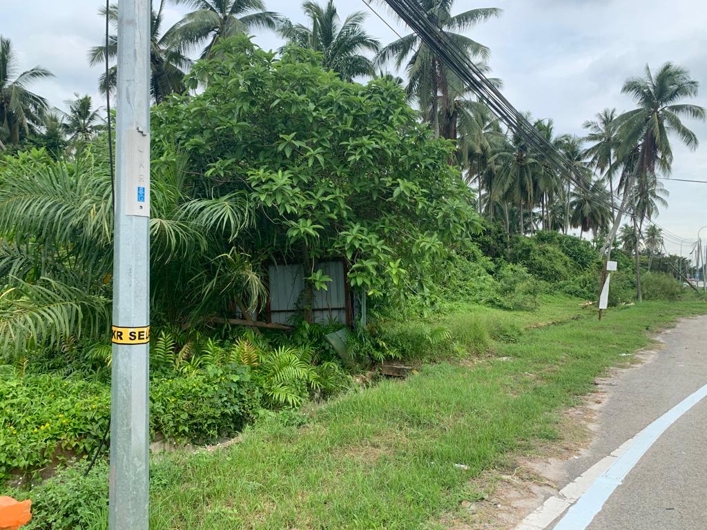 Facing Main Road Land Acre Freehold Agri Comme - photo 4