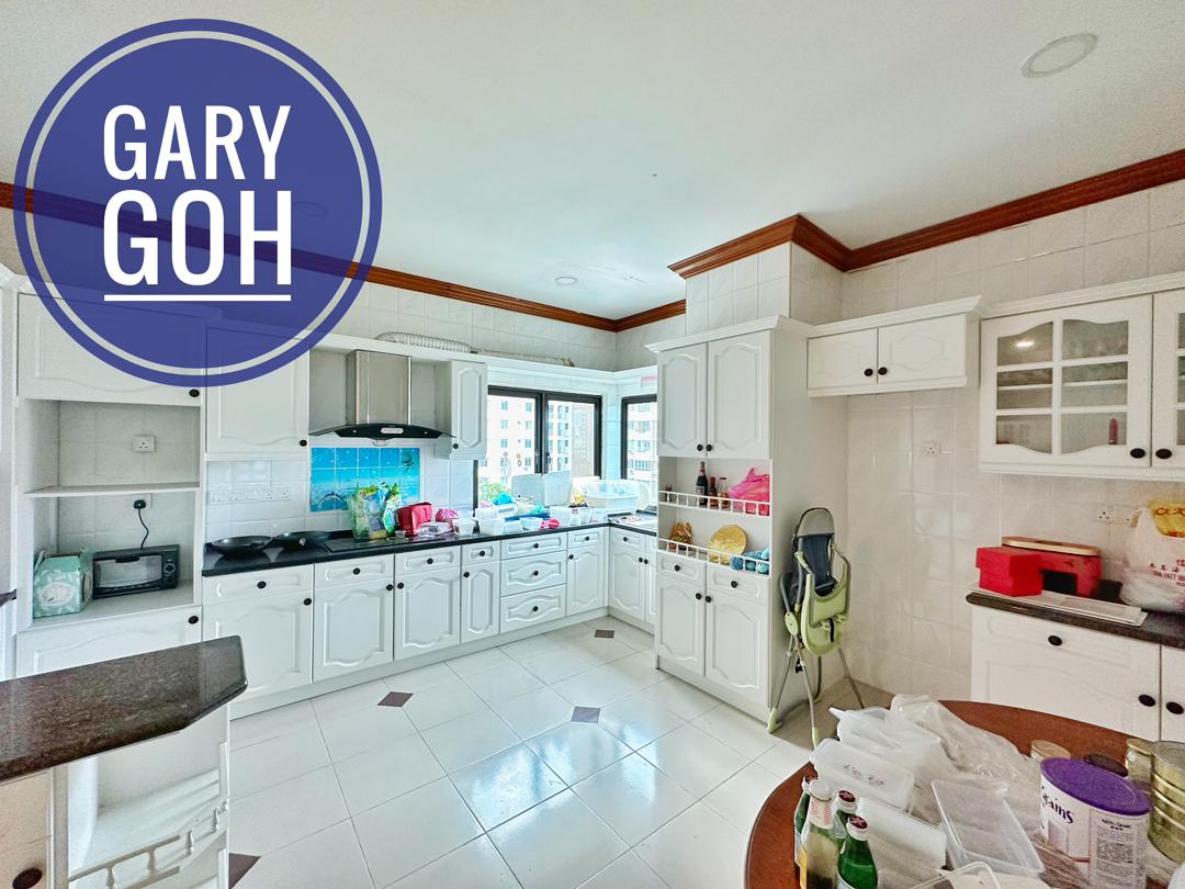 Greenlane Heights Block 1G DUPLEX PENTHOUSE 3100sq - photo 3