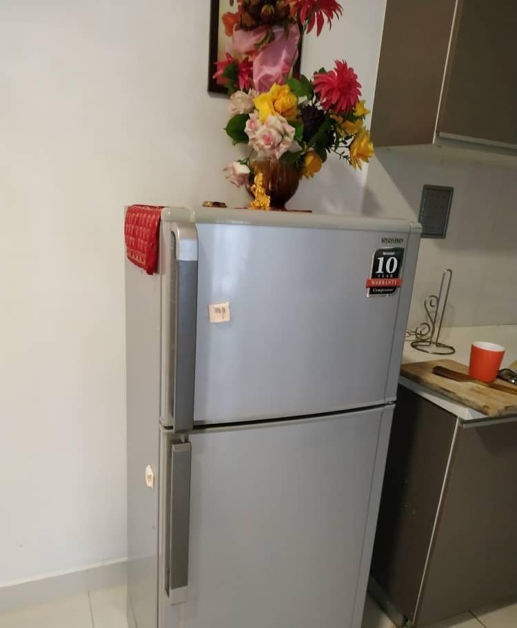 Fully Furnished Regalia Residence - photo 3