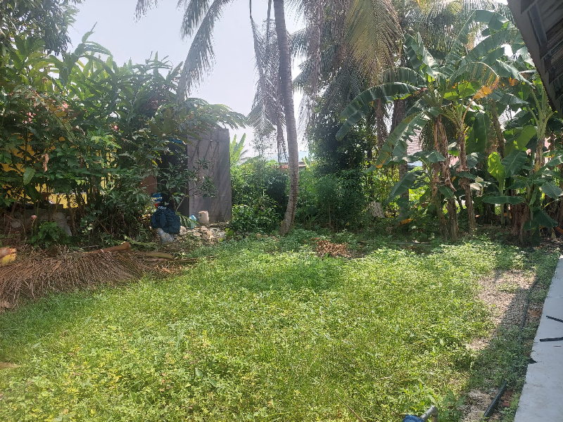 Rumah Studio dan Bengkel Lorong Pisang, Teluk Panglima Garang, Selangor - photo 7