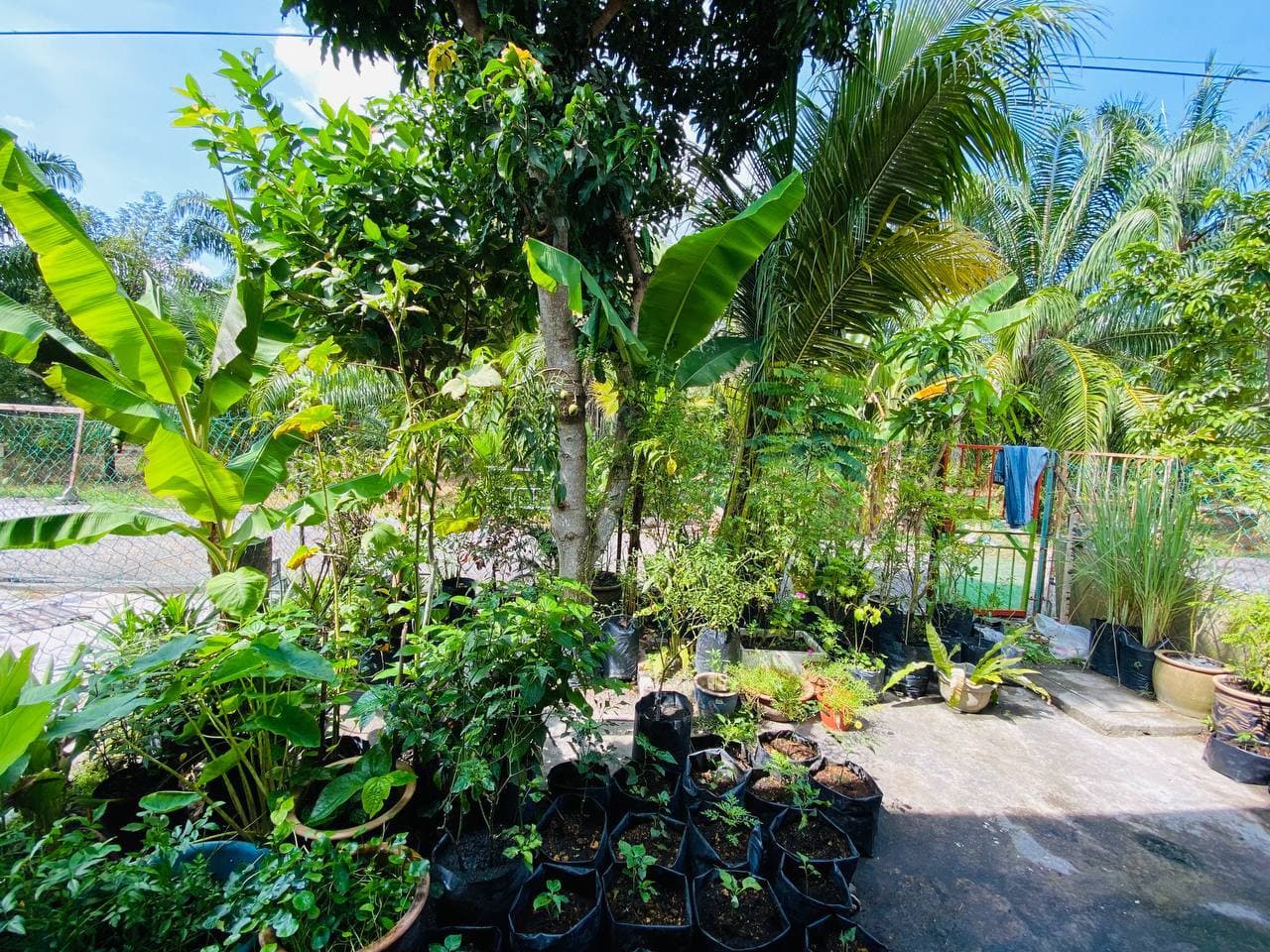 Single Storey Taman Perepat Permai Klang - photo 6
