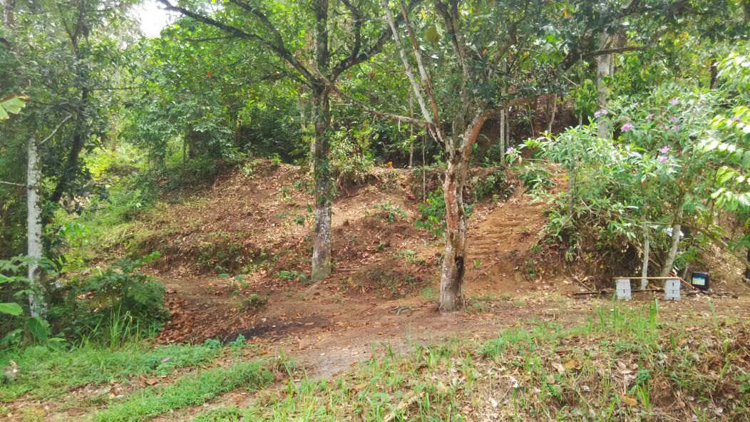 Tanah Dusun, Desa Anggerik, Serendah