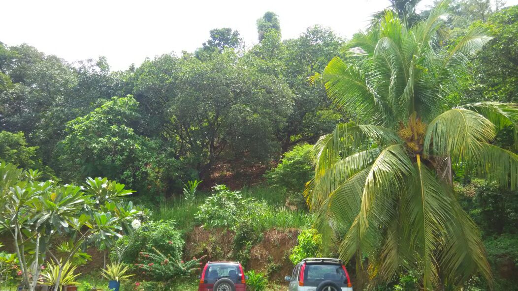 Tanah Dusun, Desa Anggerik, Serendah - photo 3