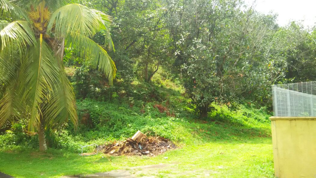 Tanah Dusun, Desa Anggerik, Serendah - photo 2