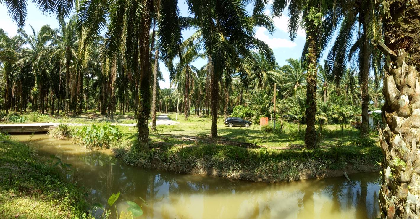 Land, Kampung Mendum, Lenggeng, Negeri Sembilan - photo 10