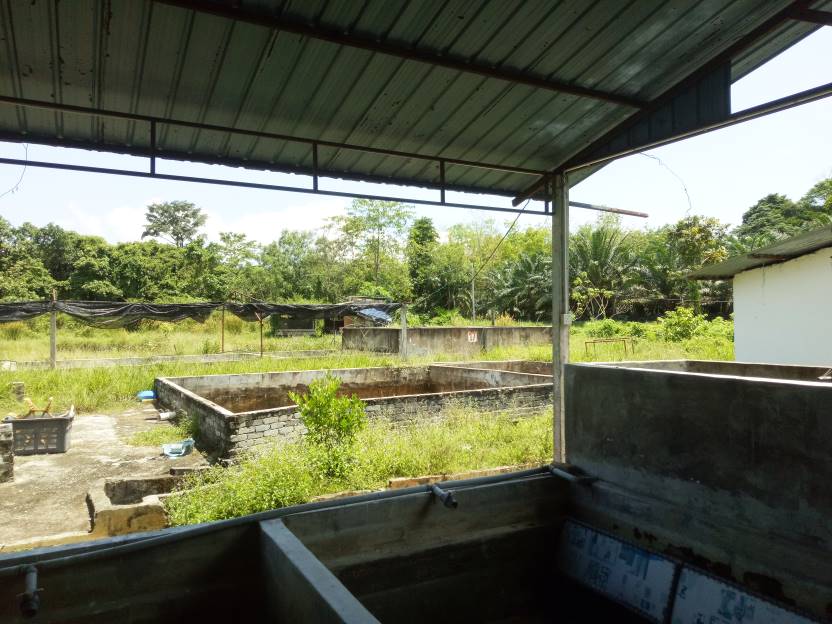 Land, Kampung Mendum, Lenggeng, Negeri Sembilan - photo 8