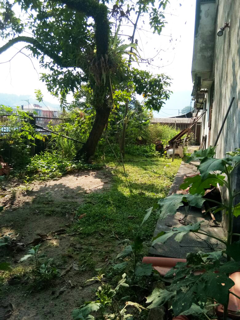 Double storey, Taman Sri Ampang - photo 8