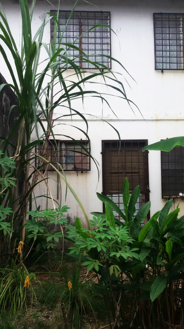 Double storey terrace, Jalan Meranti, Batang Kali - photo 2