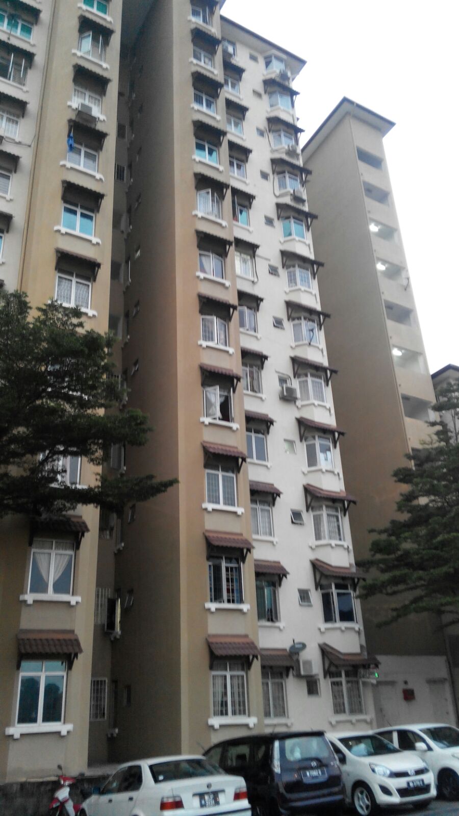 Sri Ixora, Shah Alam - photo 2