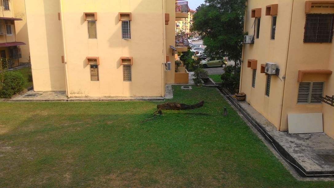 Goodyear Court 3, USJ, Selangor - photo 10