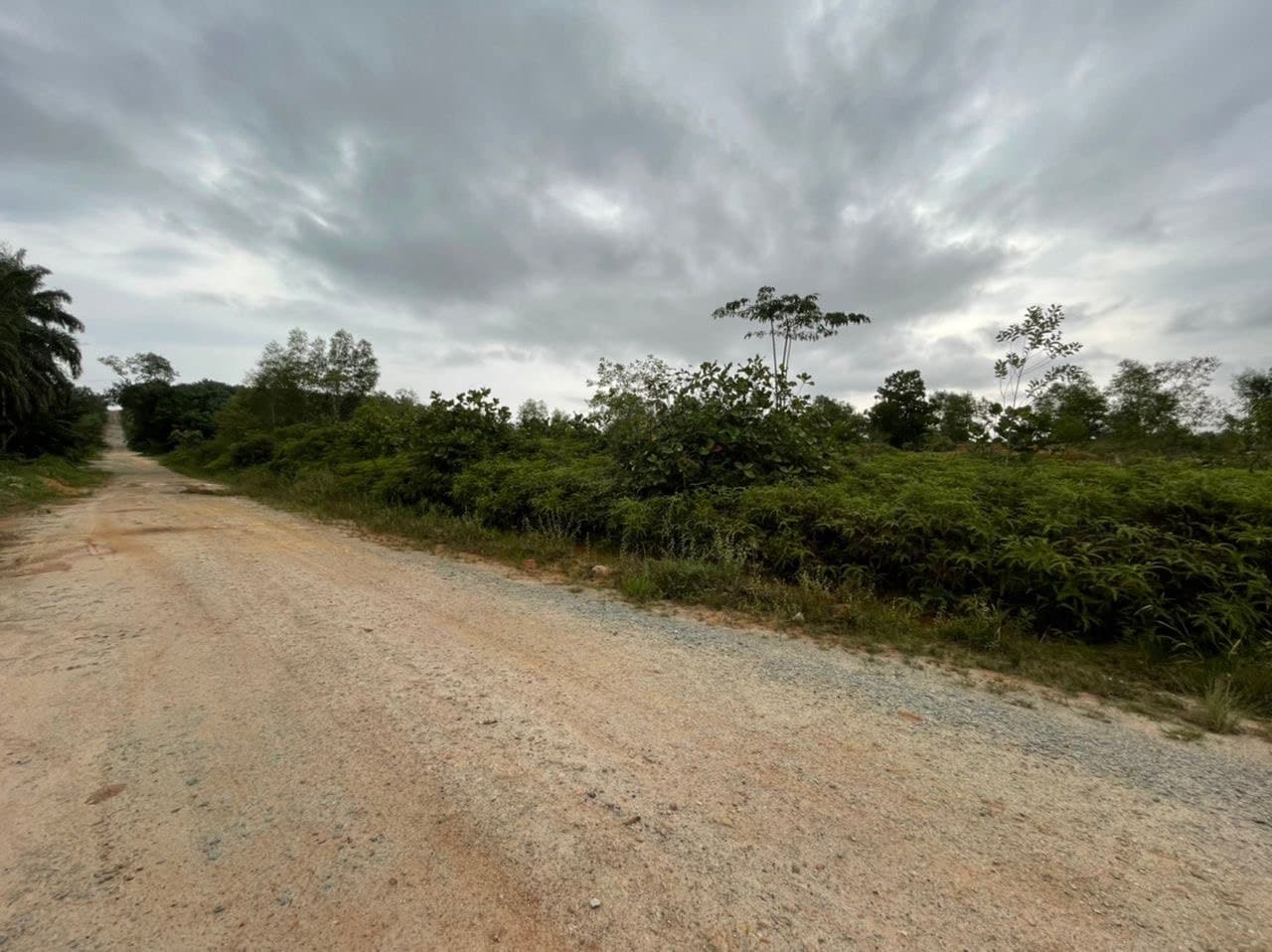 Bungalow Land Cyberjaya - photo 3