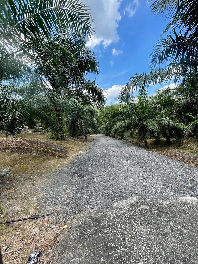 Agriculture Land Bukit Cherakah Shah Alam