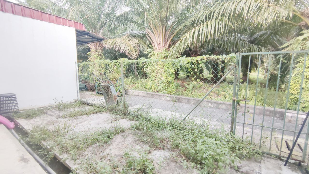 Freehold Single Storey Kg Tok Muda Kapar - photo 6