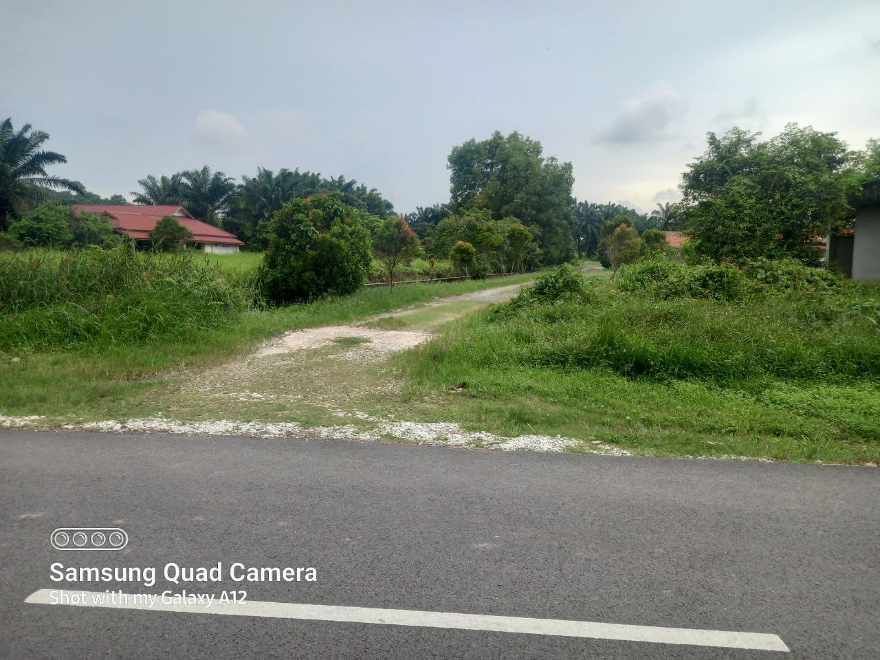 Corner Lot Residential Land Taman Seri Changgang 1 - photo 5