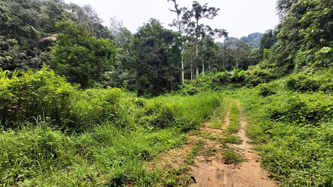 Kemensah Heights Ulu Klang Freehold Land For Sale - photo 3