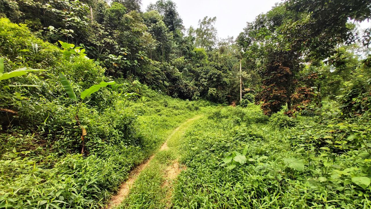 Kemensah Heights Ulu Klang Freehold Land For Sale - photo 4