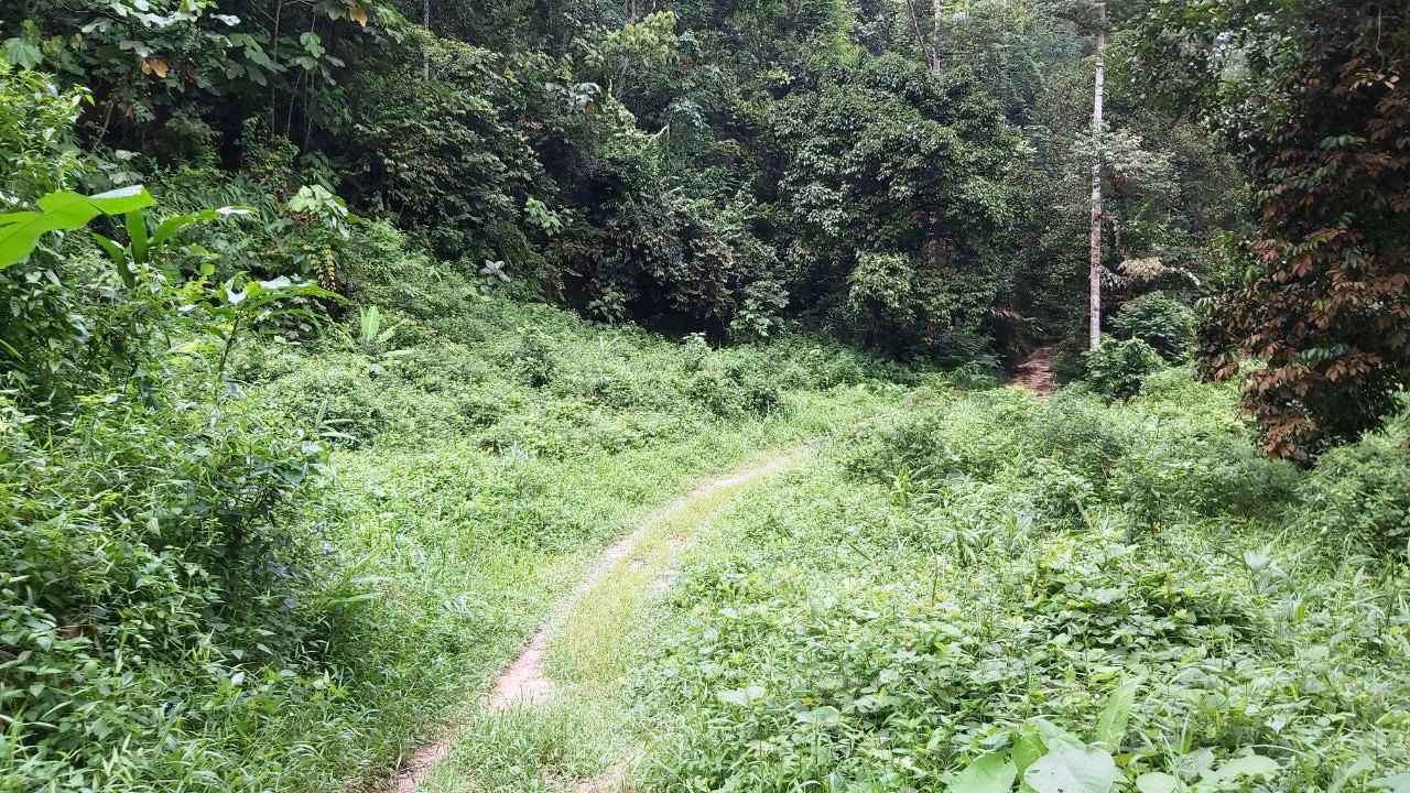 Kemensah Heights Ulu Klang Freehold Land For Sale - photo 7